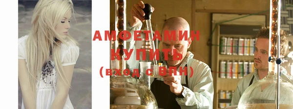 мет Алексин