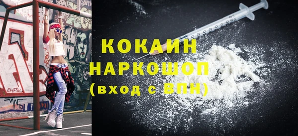 шишки Алзамай