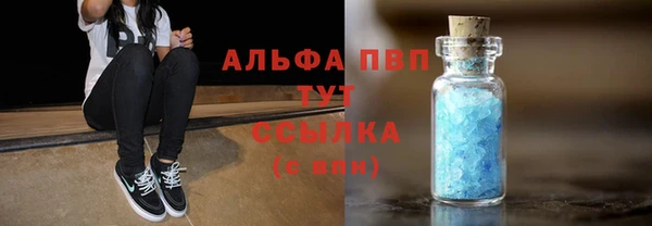 мет Алексин