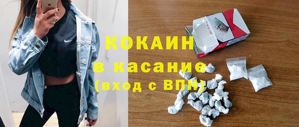 шишки Алзамай