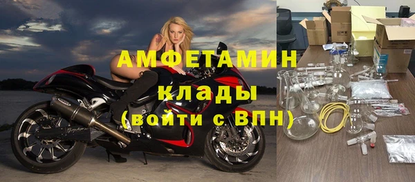 мет Алексин