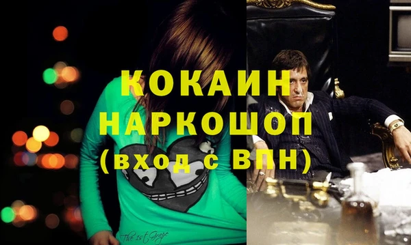 мет Алексин