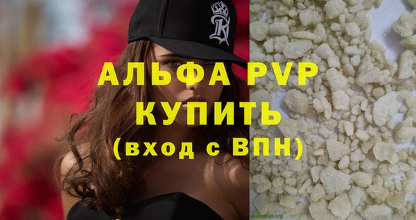 шишки Алзамай