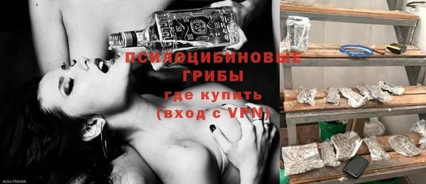 мет Алексин